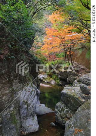 紅葉の仙波ヶ嶽渓谷 紅葉の仙波ヶ嶽渓谷 98183526