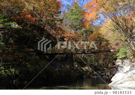 紅葉の小田深山渓谷 98183533