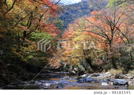 紅葉の小田深山渓谷の写真素材