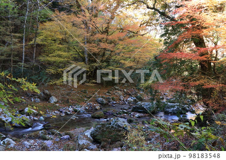 紅葉の小田深山渓谷 98183548