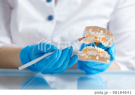 Dental teeth 3d transparent model of jaw 98184641