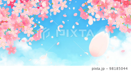 桜　背景素材 98185044