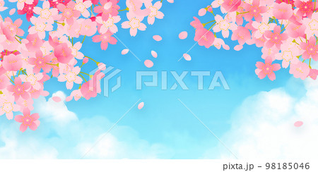 桜　背景素材 98185046