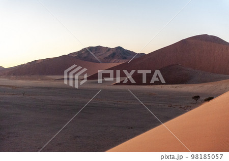 Climbing Dune 45 at sunrise 98185057