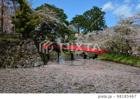 春爛漫！桜と太鼓橋のコラボレーション 98185467