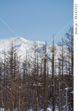 冬の晴れた日の雪山の山頂 十勝岳 冬の晴れた日の雪山の山頂 十勝岳 98187355
