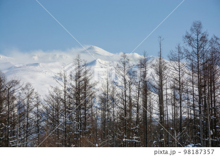 冬の晴れた日の雪山の山頂　十勝岳 98187357