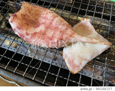 網焼きで仕上げるイカ姿焼き 網焼きで仕上げるイカ姿焼き 98188157