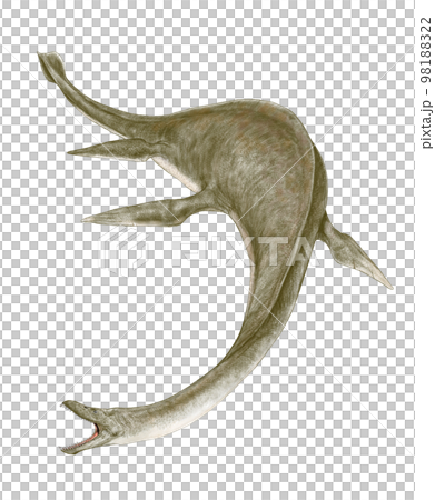 Plesiosaur Muraenosaurus It looks like an eel... 98188322