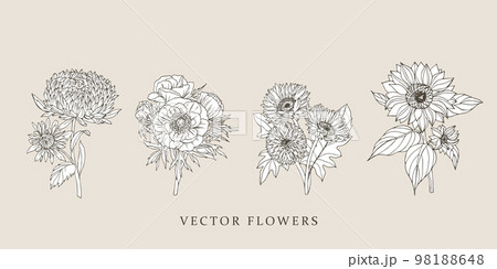 Anemone, chrysanthemum, calendula, summer flowers 98188648