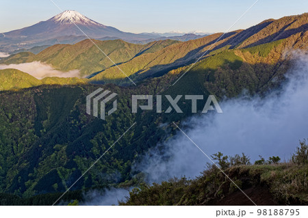 丹沢表尾根・三ノ塔から朝の富士山・塔ノ岳と滝雲 丹沢表尾根・三ノ塔から朝の富士山・塔ノ岳と滝雲 98188795