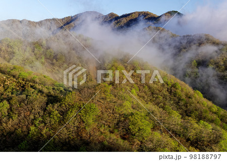 雲湧く新緑の山並みと丹沢山地・塔ノ岳の眺め 雲湧く新緑の山並みと丹沢山地・塔ノ岳の眺め 98188797