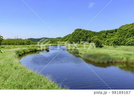 道東厚岸の別寒辺牛（べかんべうし）湿原 98189167