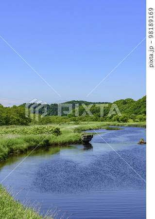 道東厚岸の別寒辺牛(べかんべうし)湿原 道東厚岸の別寒辺牛(べかんべうし)湿原 98189169