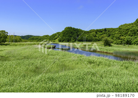 道東厚岸の別寒辺牛（べかんべうし）湿原 98189170