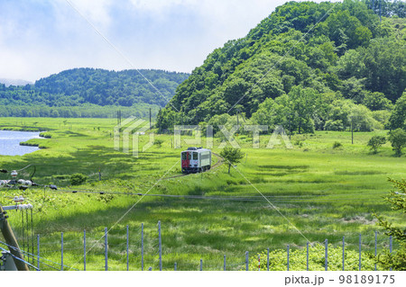 道東厚岸の別寒辺牛(べかんべうし)湿原 道東厚岸の別寒辺牛(べかんべうし)湿原 98189175
