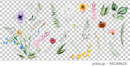 Floral bouquet made of watercolor wildflowers and leaves, wedding and greeting illustration 98189628