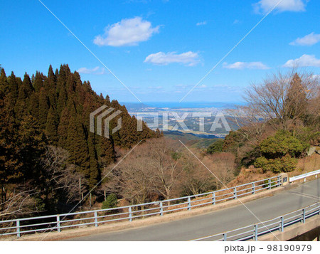花粉の季節 茶色の杉と糸島の風景 花粉の季節 茶色の杉と糸島の風景 98190979