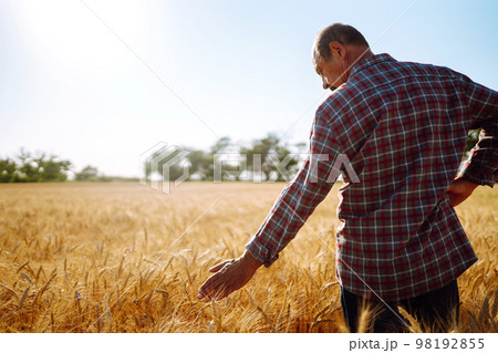 Farmer in a wheat field. Harvesting, organic farming concept. Rich harvest. Farmer in a wheat field. Harvesting, organic farming concept. Rich harvest. 98192855