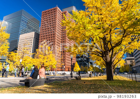 《東京都》秋の東京丸の内・色づくイチョウの行幸通り 《東京都》秋の東京丸の内・色づくイチョウの行幸通り 98193263
