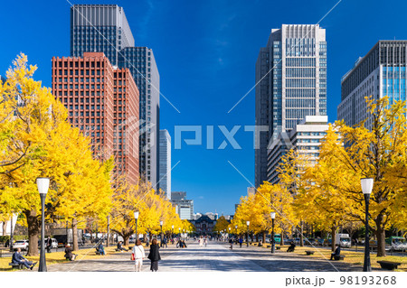 《東京都》秋の東京丸の内・色づくイチョウの行幸通り 《東京都》秋の東京丸の内・色づくイチョウの行幸通り 98193268