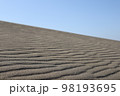 鳥取砂丘の風紋 98193695