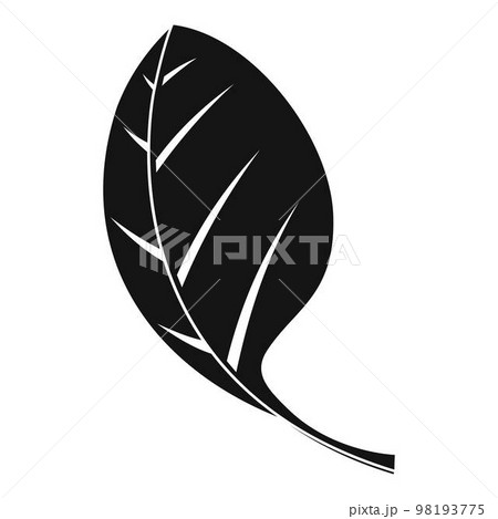 Spinach leave icon. Simple illustration of spinach leave vector icon for web design isolated on white background 98193775