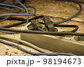Messy outlet power extension cord on an apartment floor with plugs plugged in. Cable power cords in a tangled mess on floor of workplace, used dirty electric outlet 98194673