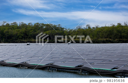 Solar power panels for green energy.  98195636