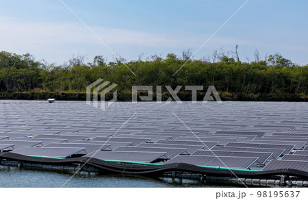 Solar power panels for green energy.  98195637