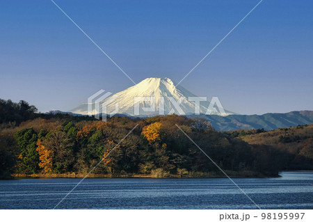 青空の冬の狭山湖から見る富士山 98195997
