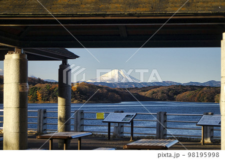 冬の狭山湖北岸の東屋から見る富士山 98195998