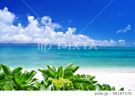 沖縄県黒島西の浜 98197376