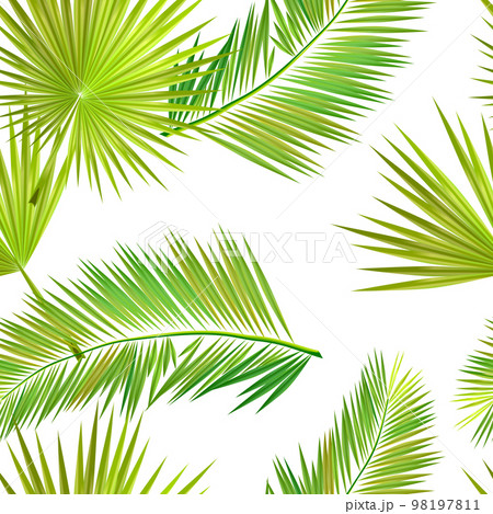Green palm leaves. Vector illustration. tropical plants seamless pattern. Contemporary vector decoration art. Tropic chaos illustration. 98197811