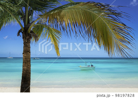 Tropical paradise, sand beach in caribbean Saona Island, Punta Cana, Dominican 98197828