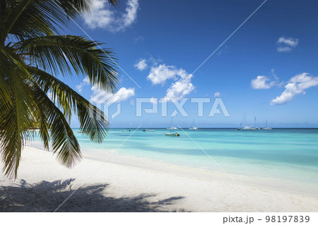 Tropical paradise, sand beach in caribbean Saona Island, Punta Cana, Dominican 98197839