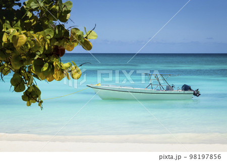 Tropical paradise, sand beach in caribbean Saona Island, Punta Cana, Dominican 98197856