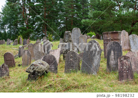 Cemetery of the residents of the village of Druya of Jewish origin, and the victims of the Jewish ghetto located on the territory of the village during World War II. 98198232