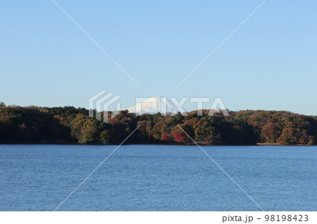 多摩湖から見る富士山 多摩湖から見る富士山 98198423