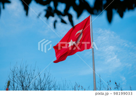 Turkey flag against the blue sky Tree branches 98199033