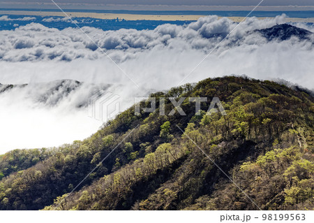 丹沢・塔ノ岳から見る雲湧く表尾根と横浜方面の眺望 98199563