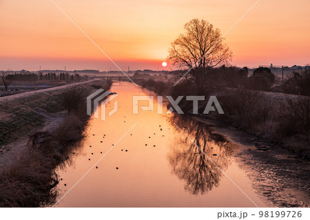 「埼玉県」冬の日の出・オレンジ色に染まった見沼田んぼ 98199726