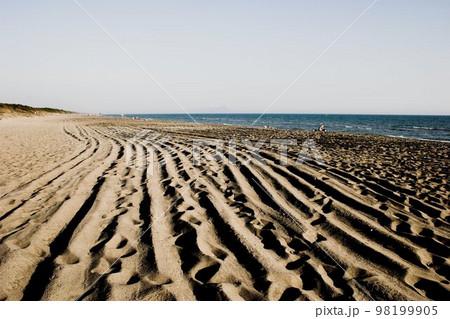 Cleaned beach 98199905