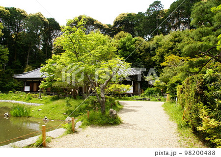 浄瑠璃寺 浄瑠璃寺 98200488