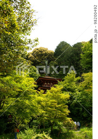 浄瑠璃寺 浄瑠璃寺 98200492