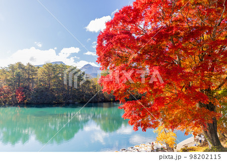 秋の五色沼湖沼群 毘沙門沼 秋の五色沼湖沼群 毘沙門沼 98202115