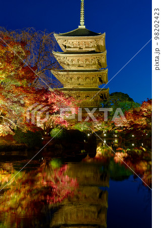 東寺紅葉のライトアップ 98202423
