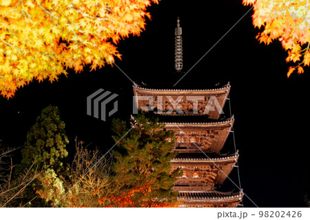 東寺紅葉のライトアップ 東寺紅葉のライトアップ 98202426