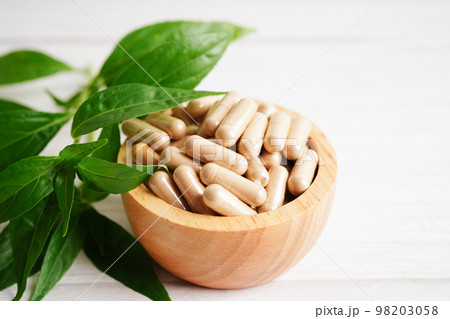 Andrographis paniculata or Kariyat leaf plant with herb capsules to treating covid19 coronavirus infection. 98203058