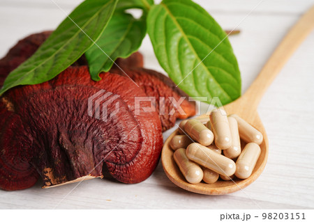 Lingzhi or Reishi mushroom with capsules, organic natural healthy food. 98203151